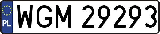 WGM29293