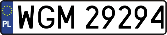 WGM29294