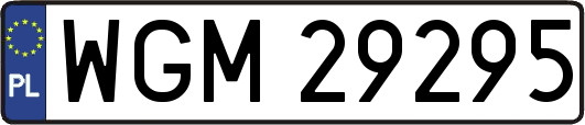 WGM29295