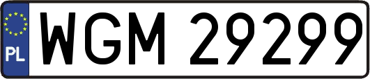 WGM29299