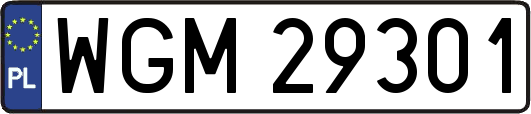 WGM29301