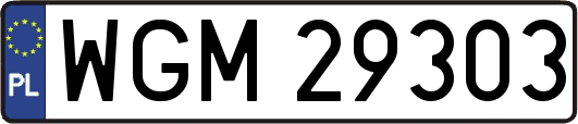 WGM29303