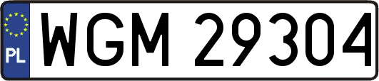 WGM29304