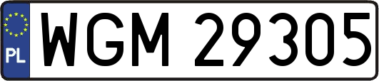 WGM29305