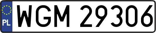 WGM29306