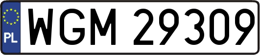 WGM29309