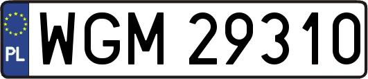 WGM29310