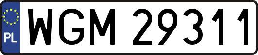 WGM29311