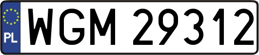WGM29312