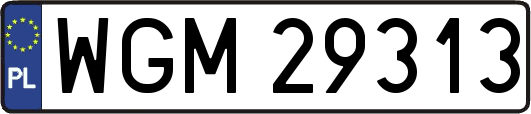 WGM29313