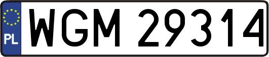 WGM29314