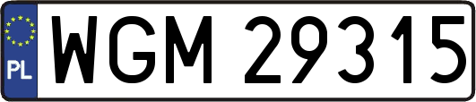 WGM29315