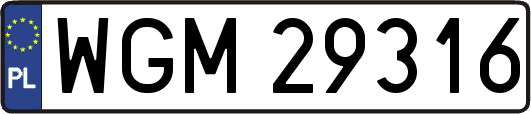 WGM29316