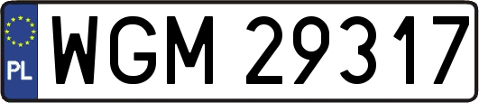 WGM29317