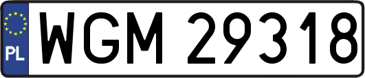 WGM29318