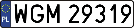 WGM29319