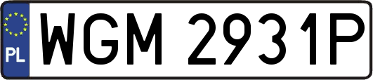 WGM2931P