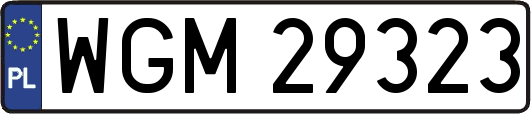 WGM29323