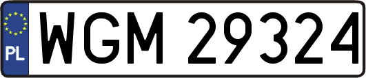WGM29324