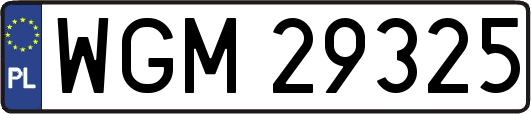 WGM29325
