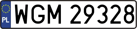 WGM29328
