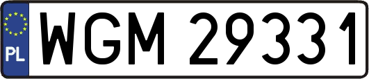 WGM29331