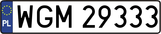 WGM29333