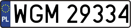WGM29334