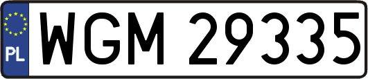 WGM29335