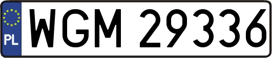 WGM29336