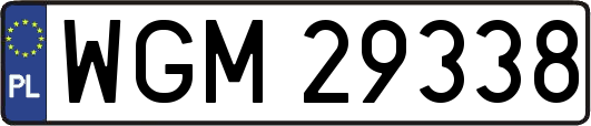 WGM29338
