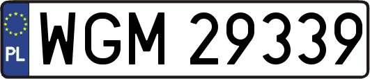 WGM29339