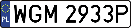 WGM2933P