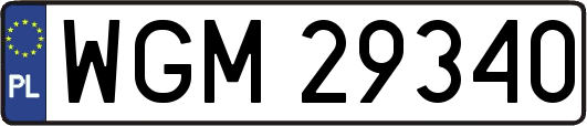 WGM29340