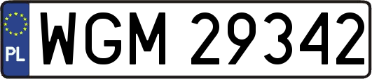 WGM29342