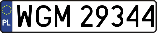 WGM29344