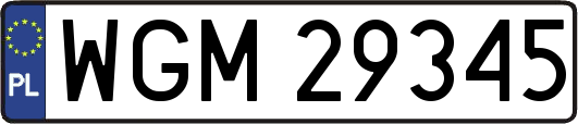 WGM29345