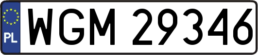 WGM29346