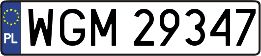 WGM29347