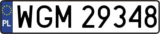 WGM29348