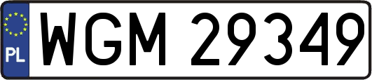 WGM29349