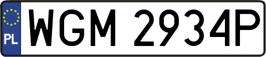 WGM2934P