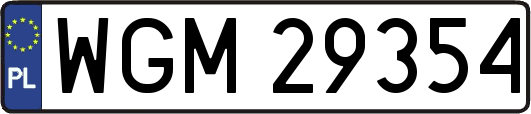WGM29354