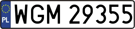 WGM29355