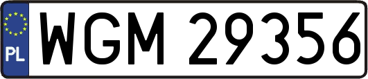 WGM29356