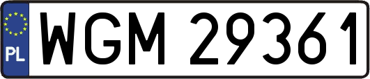 WGM29361