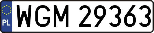 WGM29363