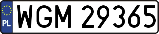 WGM29365