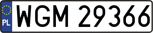 WGM29366