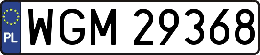 WGM29368